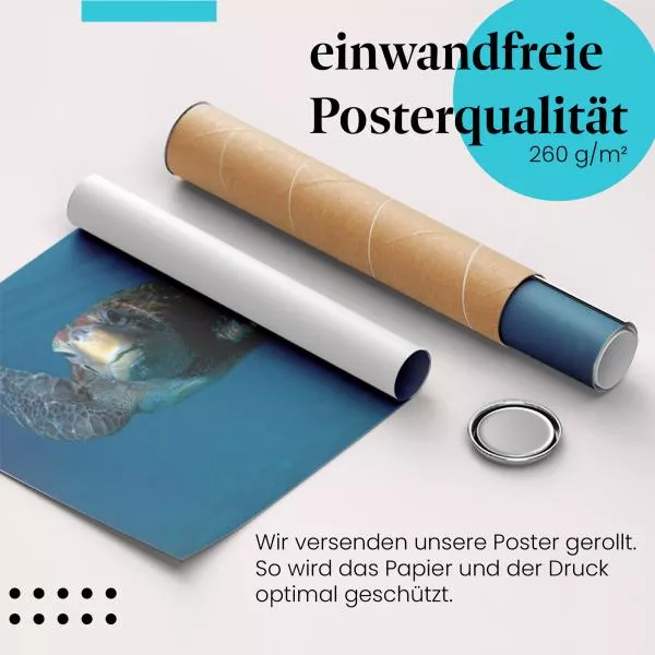 Meeresschildkröte: Unterwasserwelt & Ozean | Postereck 0657 Meeresschildkröte: Unterwasserwelt & Ozean | Postereck 0657